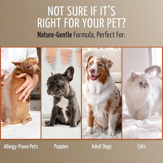 Tauro Pro Line Coat Growth Recovery Cream for Dogs & Cats – Strengthens Hair Roots & Boosts Regrowth – Dog & Cat Moisturizer for Thinning Fur, Shedding & Post-Surgery Care (Derma Care 2.5 Fl Oz)