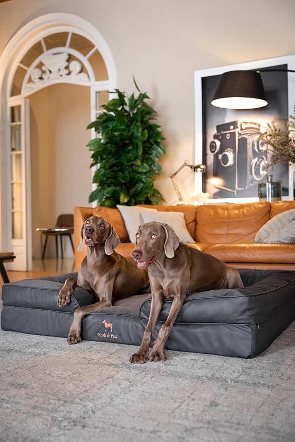 NOAH & PAW Giant Dog Bed XXL, 55x45x11 Inch, Orthopedic Dog Beds, Eggshell Memory Foam Infused with Cooling Gel, Inner Cover, Waterproof, Machine Washable (Faux Leather Sofa Collection)