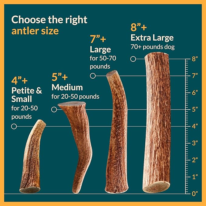 100% Natural - Split Elk Antlers for Dogs ( 3 pack ) - Naturally Shed in USA - Dog Antler Chews Medium Breeds - Natural, Long-Lasting Treats for Aggressive Chewers - No Smell & No Mess - Medium