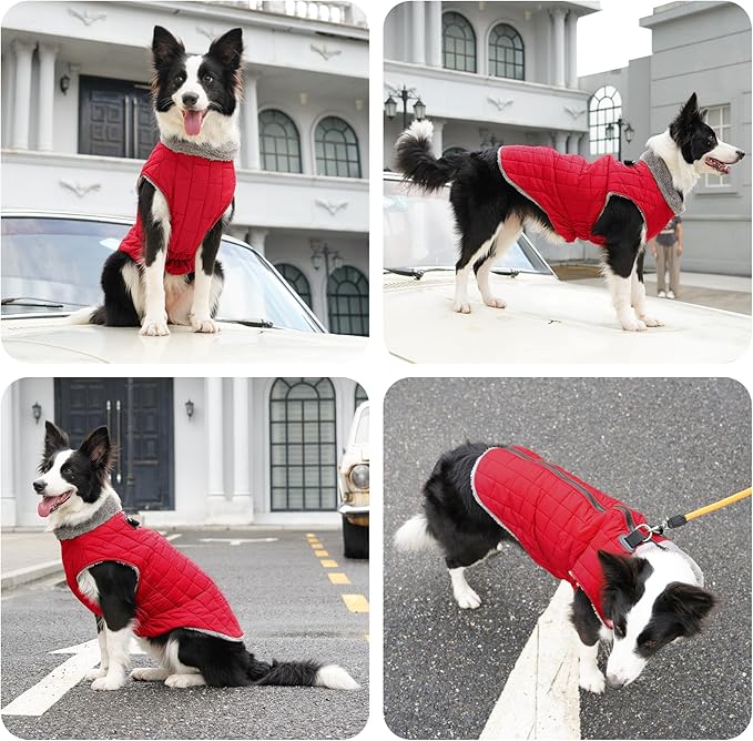 Warm Fleece Dog Coats with Durable Harness Buitl in D-Ring,Waterproof Puppy Jacket for Small Dogs,Dog Vest for Cold Winter,Red M