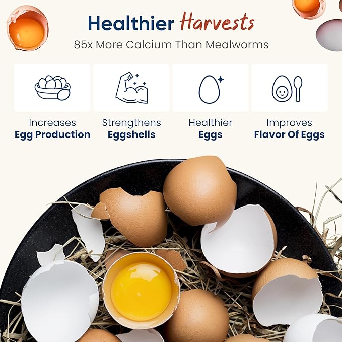 2LB Dried Black Soldier Fly Larvae for Chickens – 85x More Calcium Than Mealworms, for Chickens and Birds, 100% Natural Non-GMO Chicken Worms Treats, High Protein & Calcium Poultry Feed