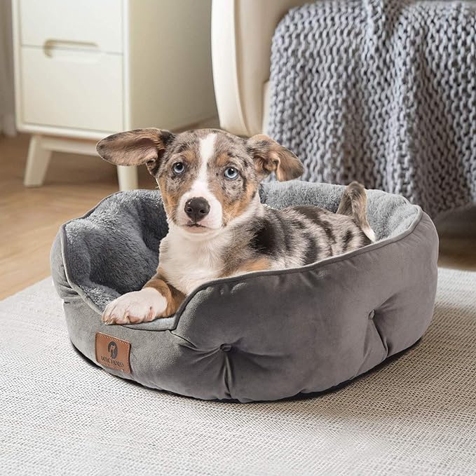 Asvin Small Dog Bed for Small Dogs, Cat Beds for Indoor Cats, Pet Bed for Puppy and Kitty, Extra Soft & Machine Washable with Anti-Slip & Water-Resistant Oxford Bottom, Grey, 20 inches