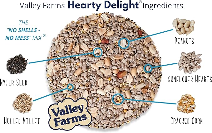 Valley Farms Hearty Delight 4 LB 2-Pack (8 LB Total) Wild Bird Food for Outside Feeders, No-Mess Wild Bird Seed with Sunflower Hearts & Peanut Kernels, No Fillers, Perfect for Outdoor Patios