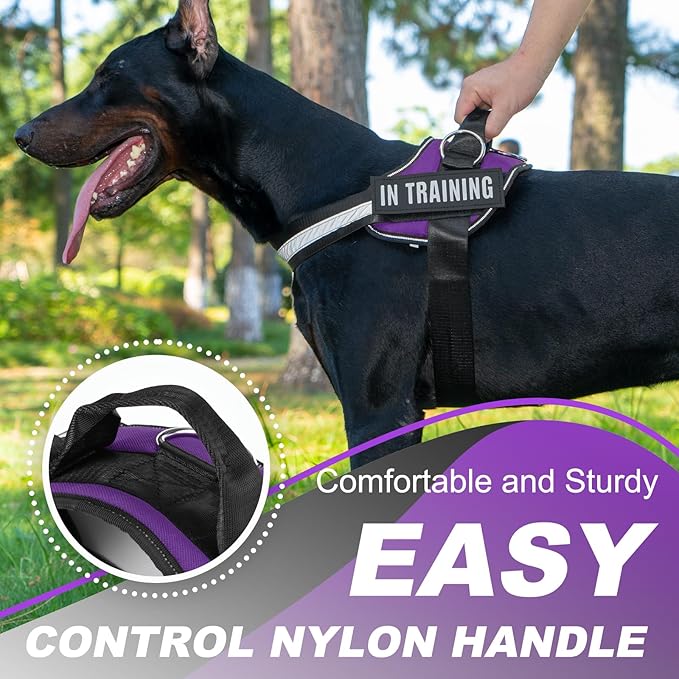 Essential Dog Harness with 3 Leash Clips - No-Pull, Adjustable, Comfortable Pet Vest Harness for Small to Large Dogs - Easy On, No Choke, Reflective, Padded Harness for Walking and Training