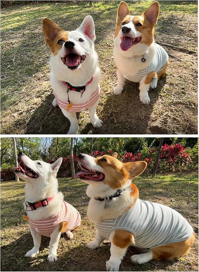 Koneseve Dog Shirt Vest Lightweight Stretchy Dog T-Shirts Soft Cool Shirts Sleeveless Stripe Vests Breathable Clothes for Puppy Kitty Cats Small Medium Large Dogs 2 Pack Pink + Green [ 3XL ]