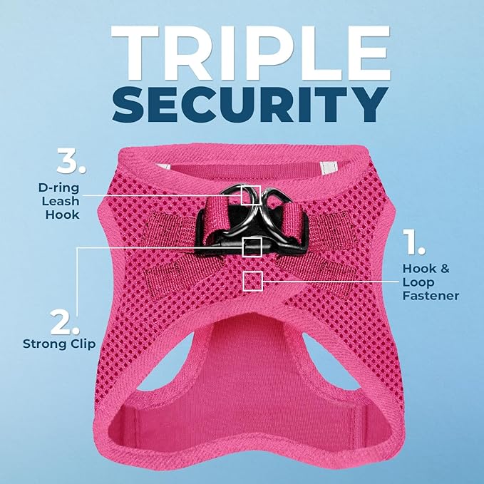 Voyager Step-in Air All Weather Mesh Harness and Reflective Dog 5 ft Leash Combo with Neoprene Handle, for Small, Medium and Large Breed Puppies by Best Pet Supplies - Set (Fuchsia), XS