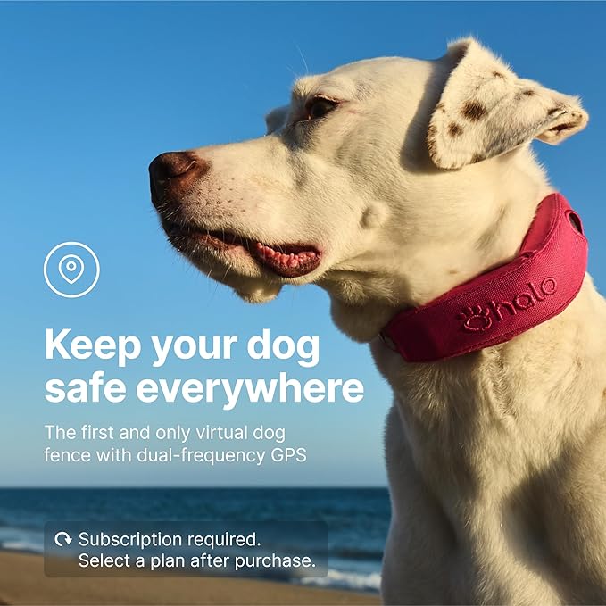 Halo Collar 4, GPS Wireless Dog Fence & Dog Training Collar with GPS Tracker, Subscription Required, Waterproof, Midnight, One Size