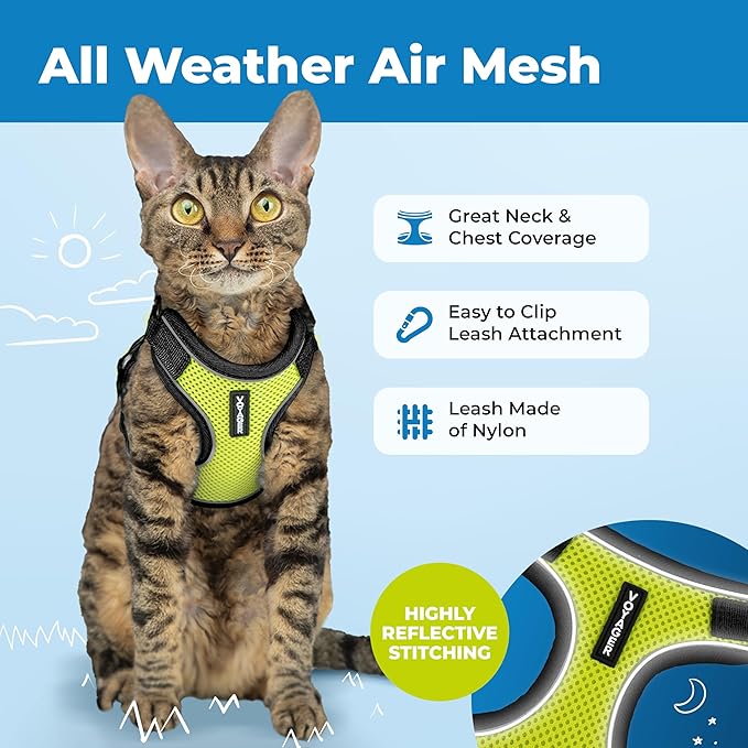 Voyager Escape Proof Cat Harness and Leash Set with Reflective Stitching, Neoprene Handle 5ft - Supports Small, Medium and Large Cats, Kittens for Walking by Best Pet Supplies - Black Trim-Lime, XXXS