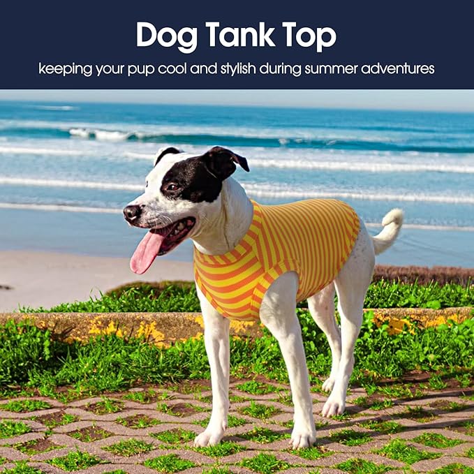 IECOii 2 Pack Dog Tee Shirts for Large Dogs,Breathable & Lightweight T-Shirts for Hot Weather,Soft Stretchy for Active Dogs - Non-Restrictive for Running & Play,Summer Outdoor Wear,Orange+Stripes,2XL
