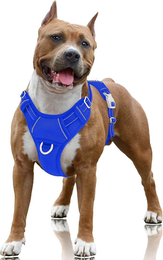 BARKBAY No Pull Dog Harness Large Reflective Dog Harness with Front Clip and Easy Control Handle for Walking Training Running with ID tag Pocket(Sapphire Blue,L)