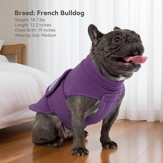 cyeollo Small Dog Sweater, Fleece Dog Sweaters Turtleneck Vest Soft Puppy Sweatshirt Stretchy Pet Fall Autumn Coat Warm Winter Clothes for Small Dogs Girl, Purple L