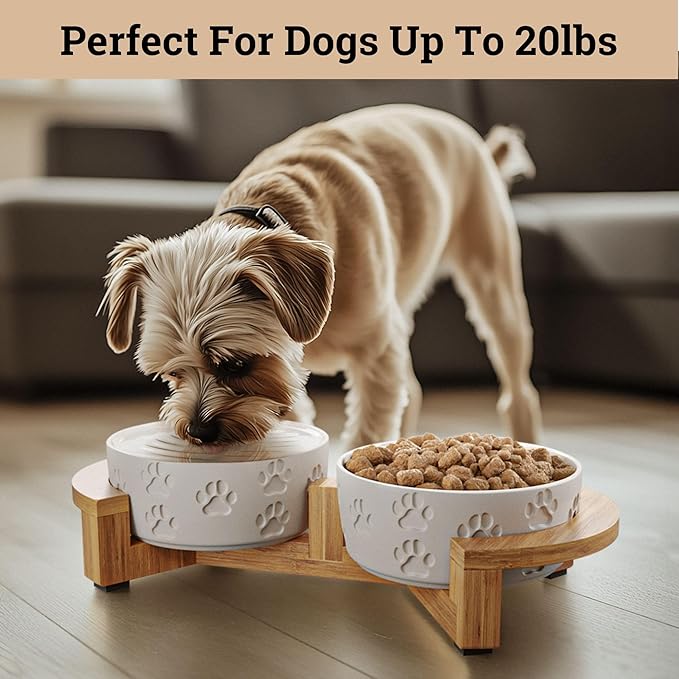 Ceramic Dog Bowls with Stand - Small Dog Bowl Set with Stand Non-Slip - 2 Ceramic Dishes with Anti-Skid Bamboo Stand for Small Dogs - Elevated Dog Bowls Set of 2 - Raised Pet Feeding Station