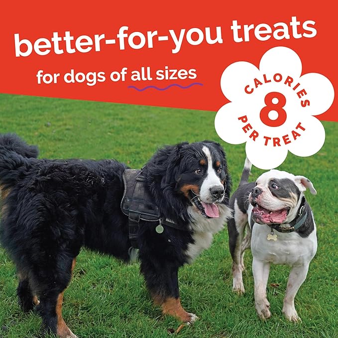 Fruitables Baked Dog Treats, Healthy Pumpkin Treat for Dogs, Low Calorie & Delicious, Free of Wheat, Corn and Soy, Made in The USA, Apple and Crispy Bacon Flavor, 20oz