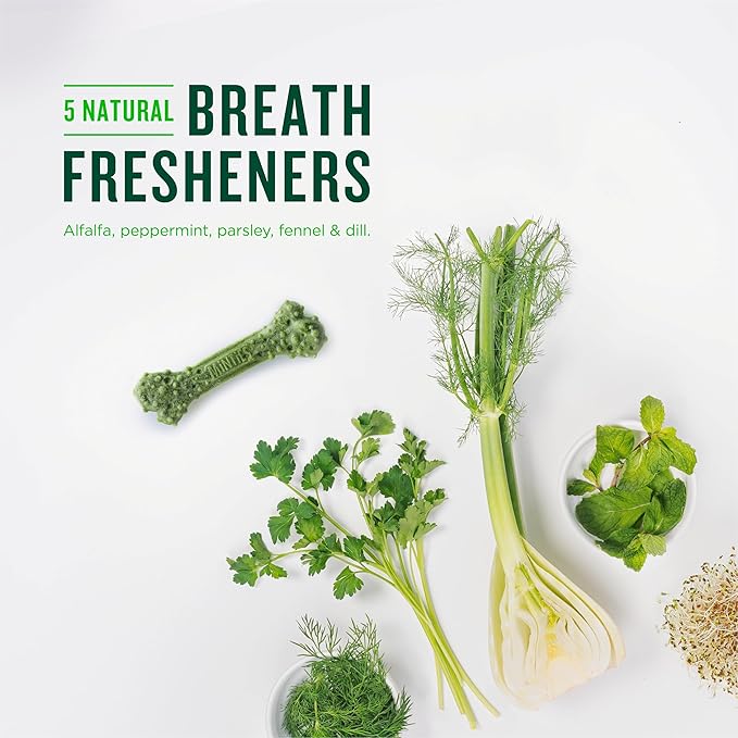 Minties Dental Chews for Dogs, 60 Count, Vet-Recommended Mint-Flavored Treats for Medium Dogs 25-50 lbs, Bones Clean Teeth, Fight Bad Breath, and Removes Plaque and Tartar