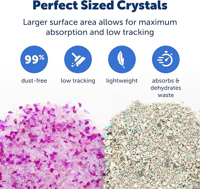 PetSafe ScoopFree Premium Crystal Cat Litter - Outperforms Clay Litter - Refill Packs - Reusable Tray Compatible - Lavender Scent - 4.3 lb Bags - 2 Pack