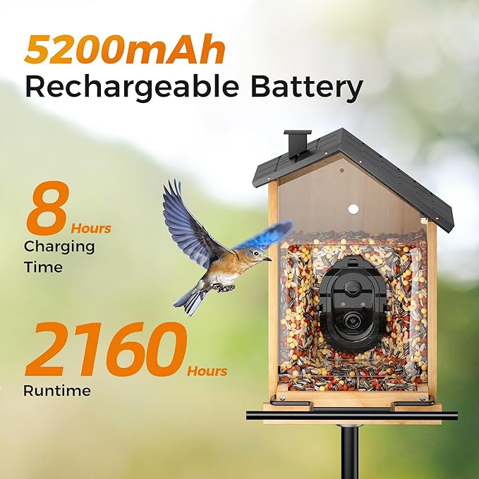 Bird Feeder with Camera, BBPECO Smart Bird House Cam with Instant Arrival Alerts, AI Identifies 10,000+ Species & Free Cloud Video, Suitable for Birdwatching (Powered by Birdty App)