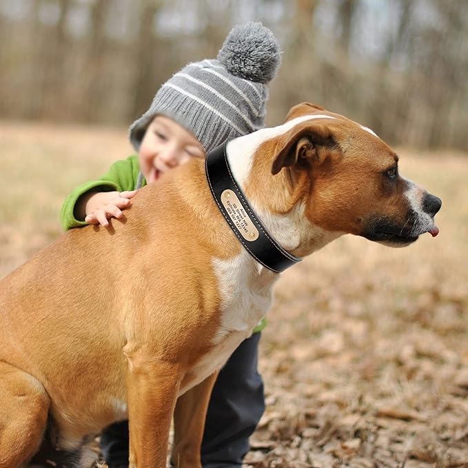 Didog Genuine Leather Dog Collars with Engraved Nameplate, Personalized Soft Leather Dog Collar with Custom ID Tag, Brown/Green/Red for Medium Large Dogs (L,Black)