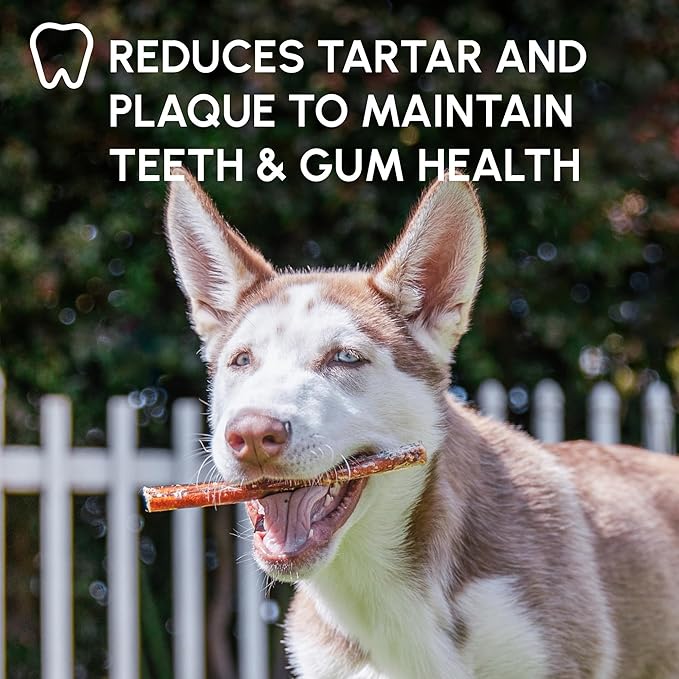 Downtown Pet Supply 6-inch Bully Sticks for Dogs, Pack of 18 - Single Ingredient, Nutrient-Rich and Odor Free Bully Sticks for Dogs - Rawhide Free Dog Chews Long Lasting and Non-Splintering