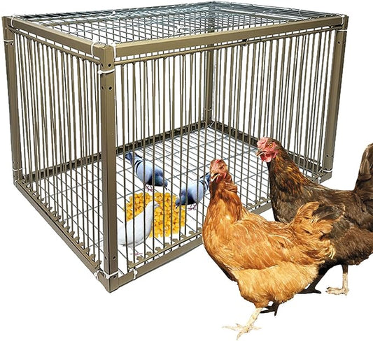 15" H Chicken Pigeon Trap Cage Birdcage Small Animal Trap Cage with Escape-Proof Design for Bird Turkey Duck Dove (23.6" L x 15.7" W x 15.7" H)