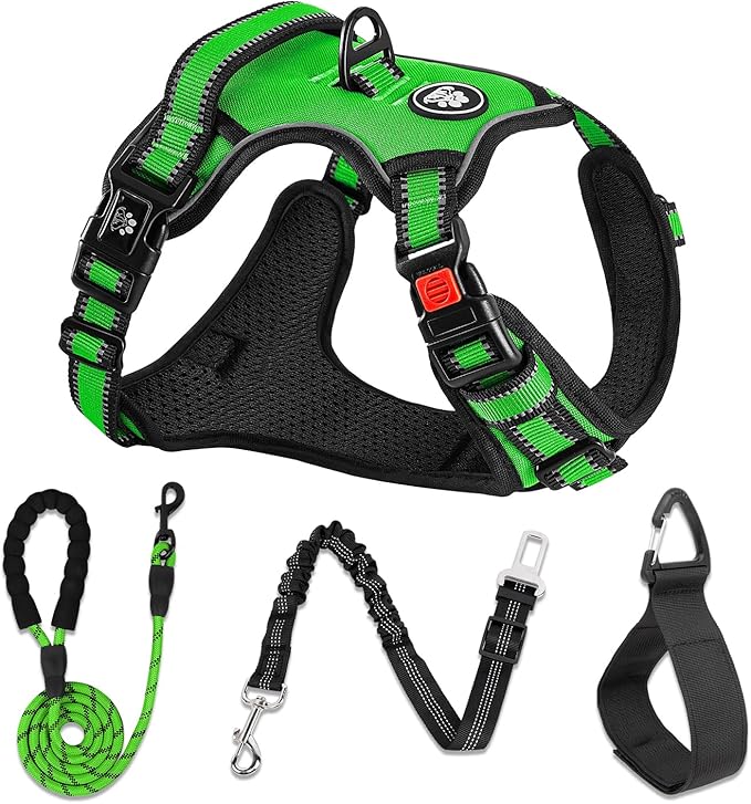 NESTROAD No Pull Dog Harness,Adjustable Oxford Dog Vest Harness with Leash,Reflective No-Choke Pet Harness with Easy Control Soft Handle for Large Dogs(X-Large,FluorescentGreen)