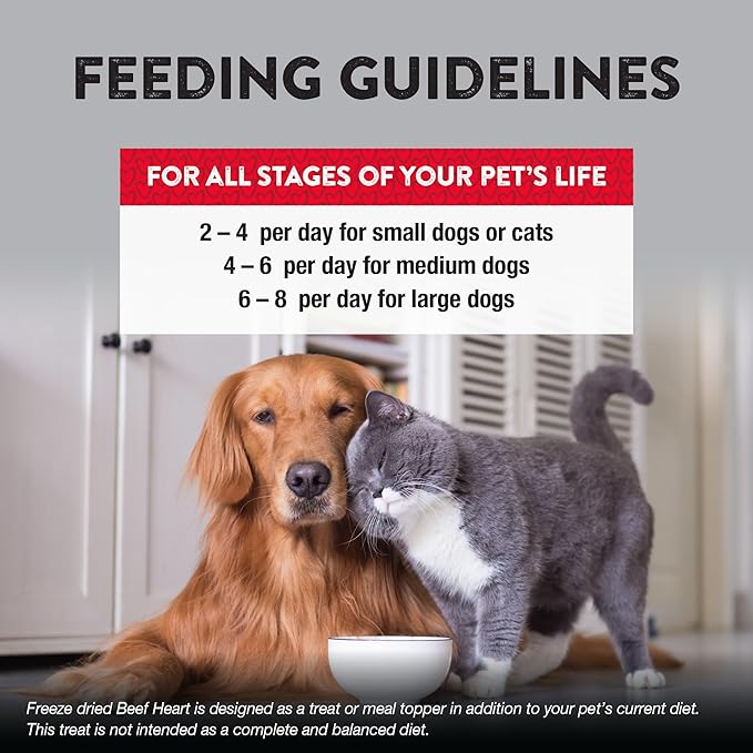 Northwest Naturals Raw Rewards Freeze-Dried Beef Heart Treats for Dogs and Cats - Bite Sized Pieces - Grain Free - 1 Ingredient - Healthy - Human Grade - All Natural - USA Made - 3 Oz