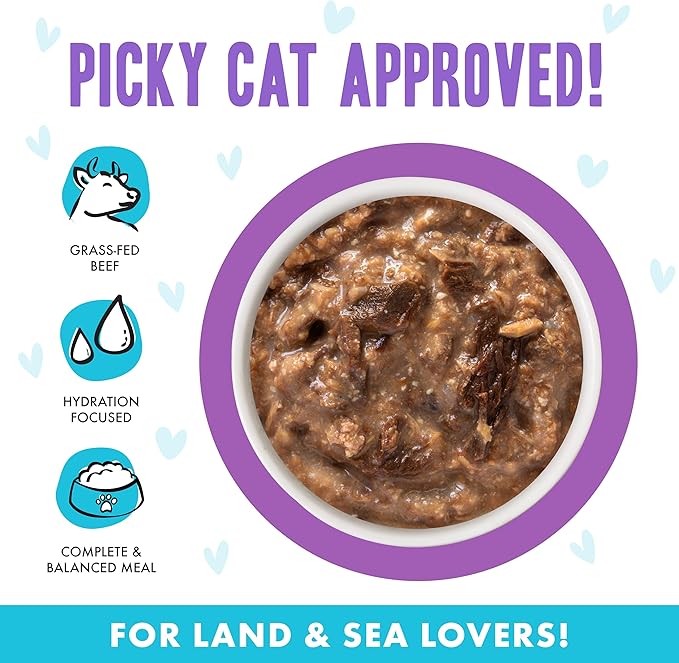 Weruva B.F.F. OMG - Best Feline Friend Oh My Gravy!, Booya! Beef & Chicken in Gravy Cat Food, 2.8oz Pouch (Pack of 12)