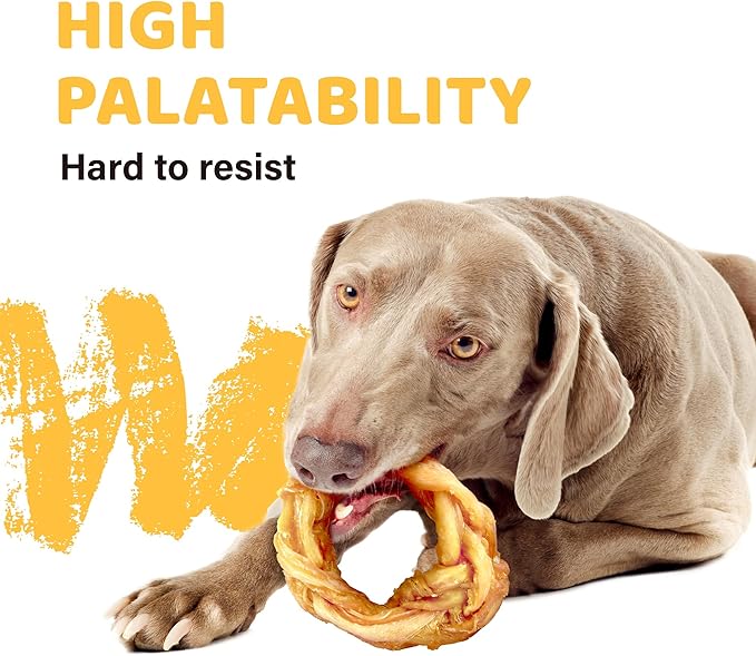 iPaw Turkey Tendon for Dogs 40 Pcs Bulk Pack, Ingredient Sourced from USA, Hypoallergenic, All Natural Human Grade Puppy Chew, Dog Treats for Signature Series, Rawhide Alternative, Ring (Small)