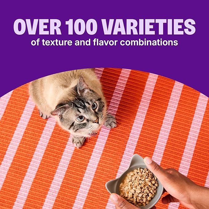 Wellness CORE Signature Selects Chunky Adult Wet Cat Food, Natural, Protein-Rich, Grain Free, 5.3 Ounce, 12 Pack (Beef & Chicken)