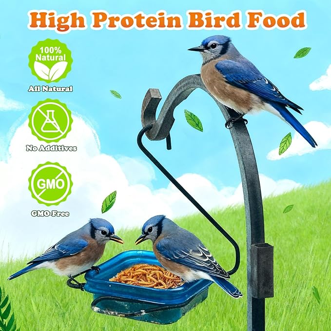 Amzey Dried Mealworms 2 LB, 100% Natural Meal Worms for Chicken & Birds, Organic Chicken Feed for Laying Hens, High Protein and Nutrition, Zipped Bag