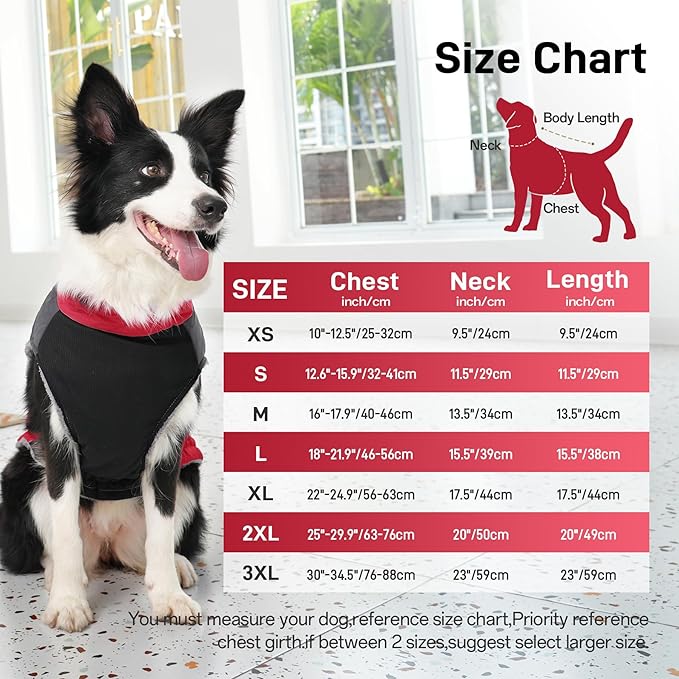 Warm Fleece Dog Coats for Small Dogs,D-Rings Waterproof Puppy Jacket for Cold Winter,Red S