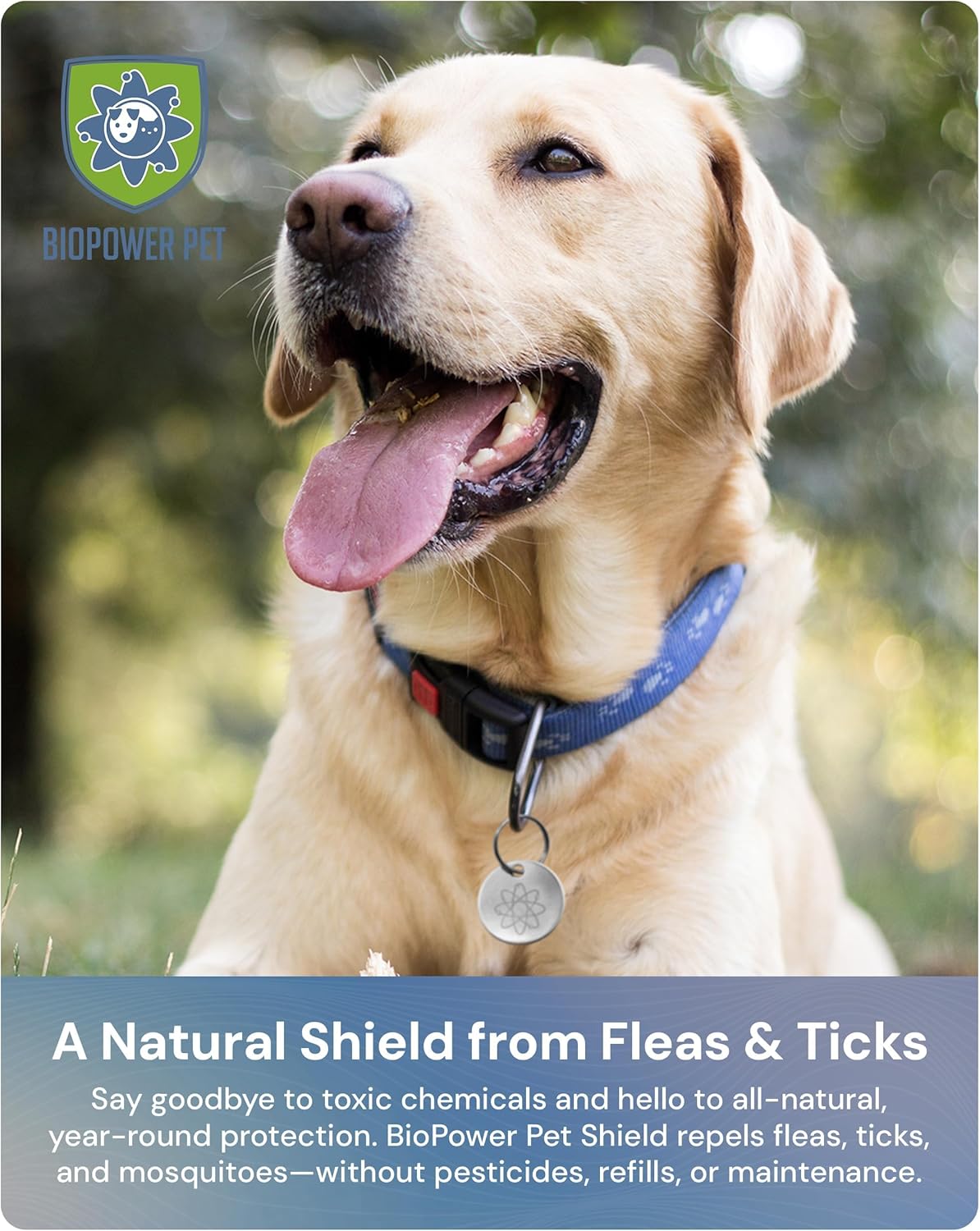 Natural Flea & Tick Repellent Collar Tag for Dogs & Cats – BioPower Pet Shield – Safe for Pets When Used as Directed – Lasts 1 Full Year Small, Regular Size Tag Bundle (2 Pack)