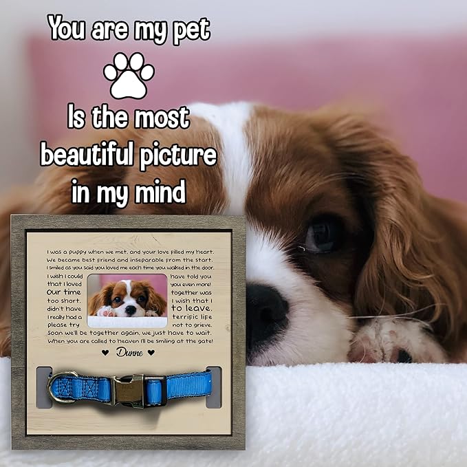 Customized Dog Collar Frame Memorial Pet Loss Sign for Dogs Lovers Gifts from Daughter Sentimental Quote For Someone Who Lost Dogs Keepsake Picture Frame Remembrance Decor Wall Hanging Gifts