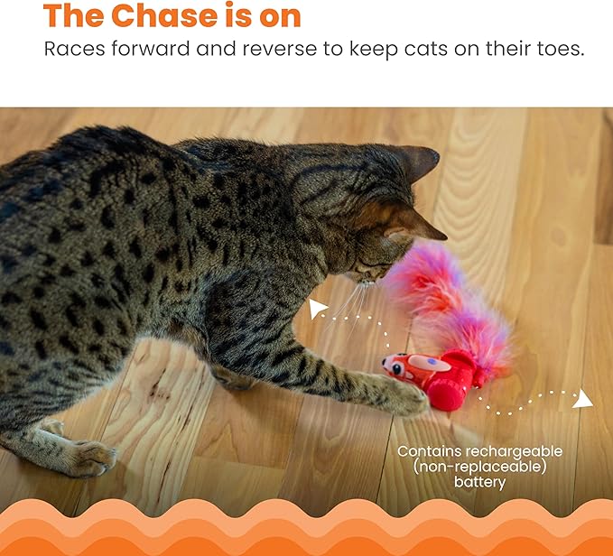 Catstages Racin' Squirrel Robot, Electronic Moving Cat Toy with Feathers, USB Rechargeable, Red