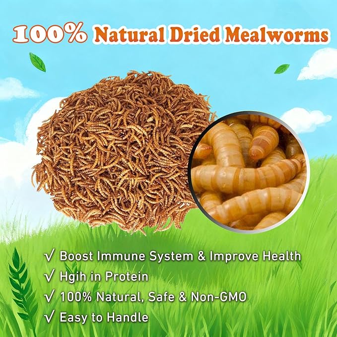 Amzey Dried Mealworms 1 LB, 100% Natural Meal Worms for Chicken & Birds, Organic Chicken Feed for Laying Hens, High Protein and Nutrition, Zipped Bag