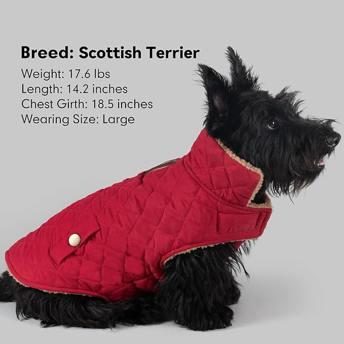 azuza Dog Jacket Waterproof & Windproof Dog Coat for Small Dogs with Thick Fleece, High Collar with Leash Hole, Adjustable Velcro & Elastic Belly, Red M