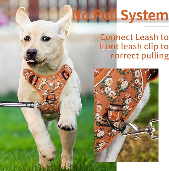 HEELE Dog Harness, No Pull Adjustable Padded Reflective Harness for Small Medium Large Dogs with Handle for Walking Training, Flower-Orange,XS