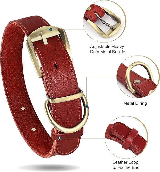 Didog Genuine Leather Dog Collars with Engraved Nameplate, Personalized Soft Leather Dog Collar with Custom ID Tag, Brown/Green/Red for Small Dogs (S,Red)