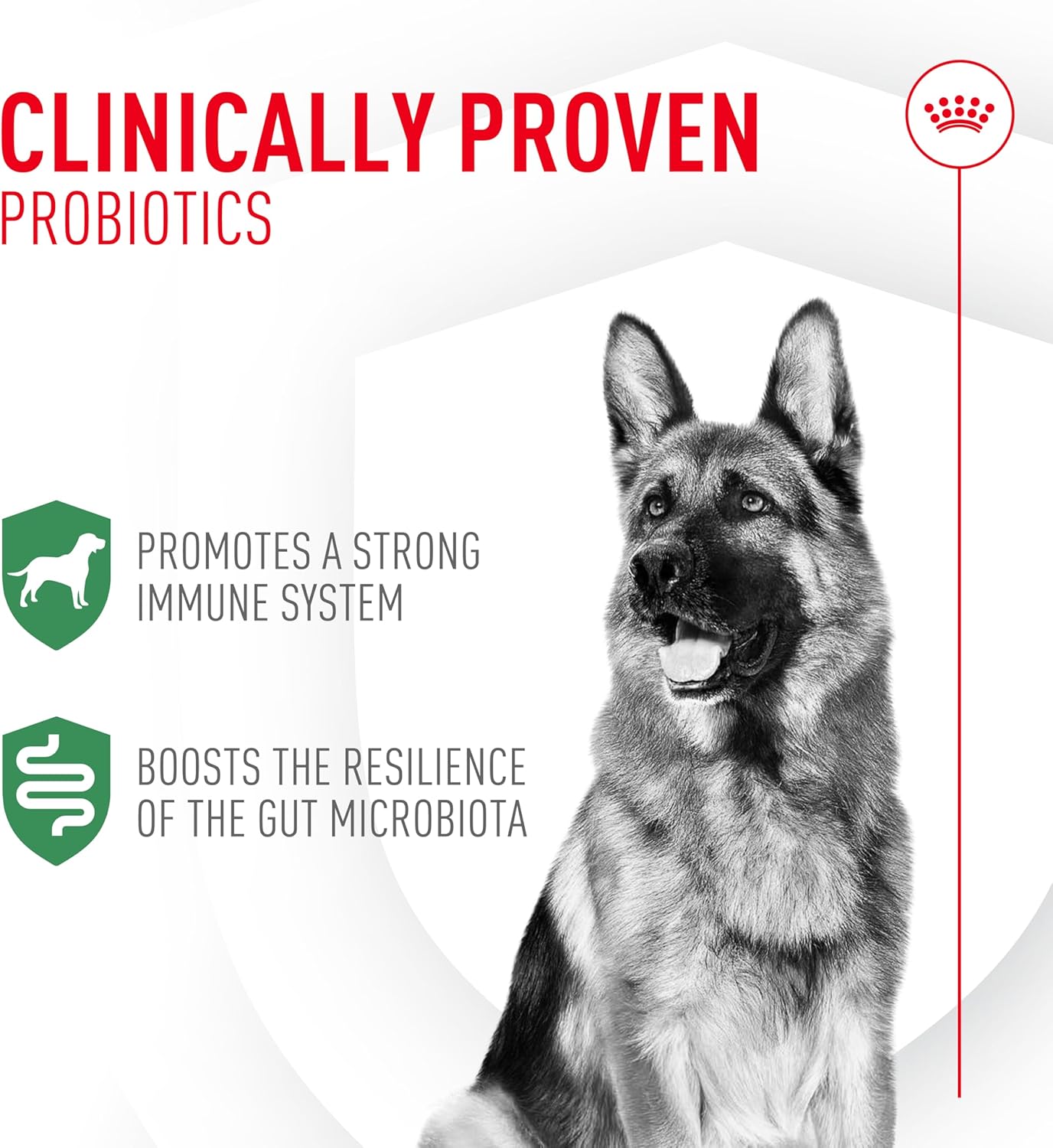 Royal Canin Probiotics for Dogs Digestive and Immune Health Powder Supplement for Dogs of All Ages, 30 Count