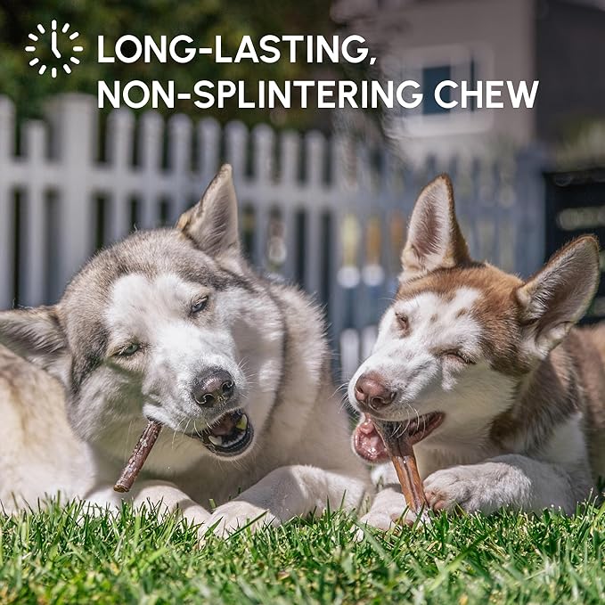 Downtown Pet Supply 6-inch Bully Sticks for Dogs, Pack of 18 - Single Ingredient, Nutrient-Rich and Odor Free Bully Sticks for Dogs - Rawhide Free Dog Chews Long Lasting and Non-Splintering