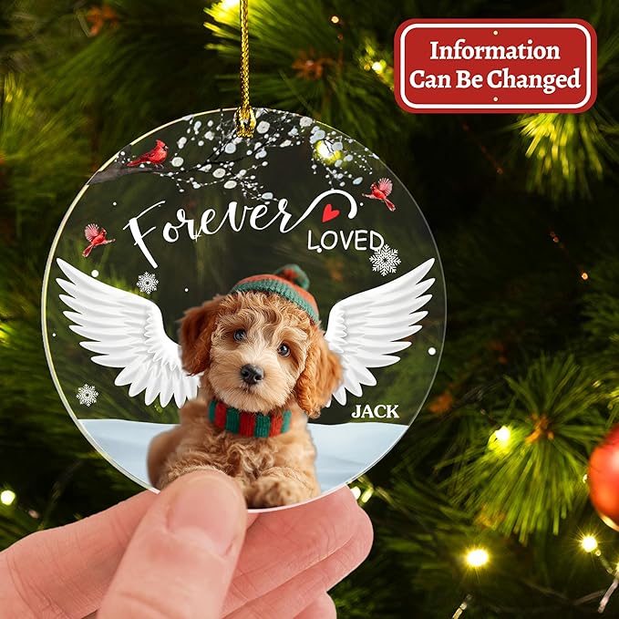 Pavo Picture Frame Dog Memorial Christmas Ornaments 2025, Personalized Pet Photo Ornaments, Acrylic Keepsake 4–6 Inches, Loss of Dog Sympathy Gift, Cat Memorial Gifts for Loss of Cat