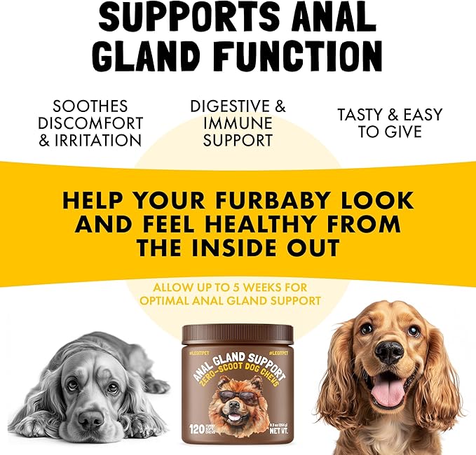 Anal Gland Relief Chews for Dogs Fiber & Digestive Support Supplement Soft Treats for Healthy Bowel & Gland Function Helps Reduce Scooting Promotes Dog Health & Comfort 120 pcs