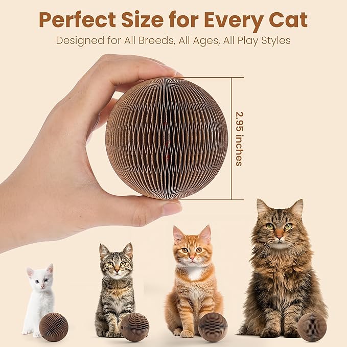 6-Pack Cardboard Cat Ball Toy with Bell – Interactive Cat Toy for Chasing, Batting, and Exercise – Durable & Irresistible Fun for Cats