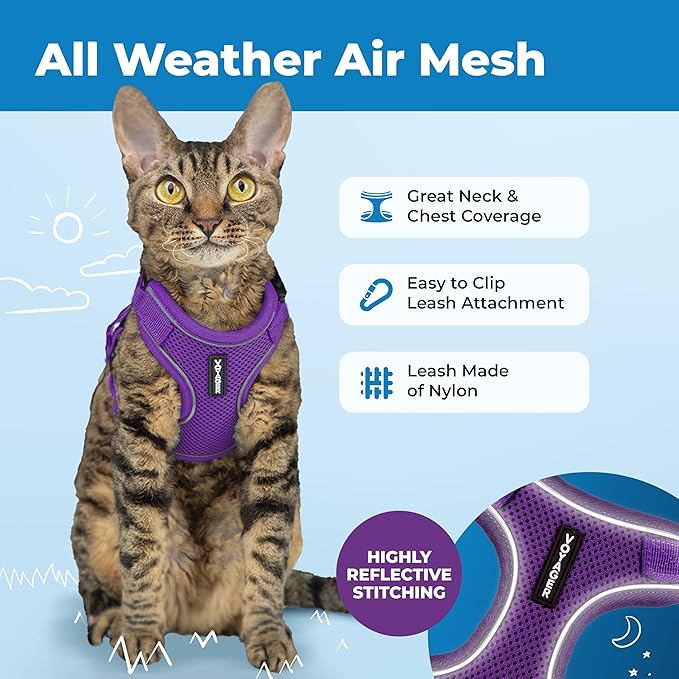 Voyager Escape Proof Cat Harness and Leash Set with Reflective Stitching, Neoprene Handle 5ft - Supports Small, Medium and Large Cats, Kittens for Walking by Best Pet Supplies - Purple, S