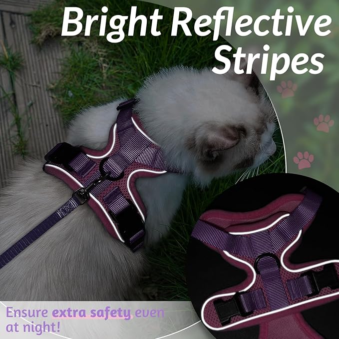 rabbitgoo Cat Harness and Leash for Walking, Escape Proof Soft Adjustable Vest Harnesses for Cats, Easy Control Breathable Reflective Strips Jacket, Pink & Purple, S