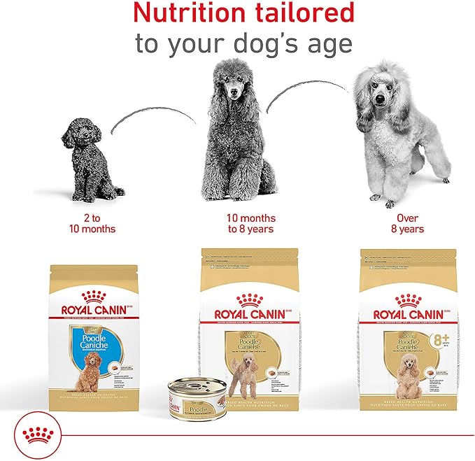 Royal Canin Poodle Adult Breed Specific Wet Dog Food, 3 oz can 4-pack