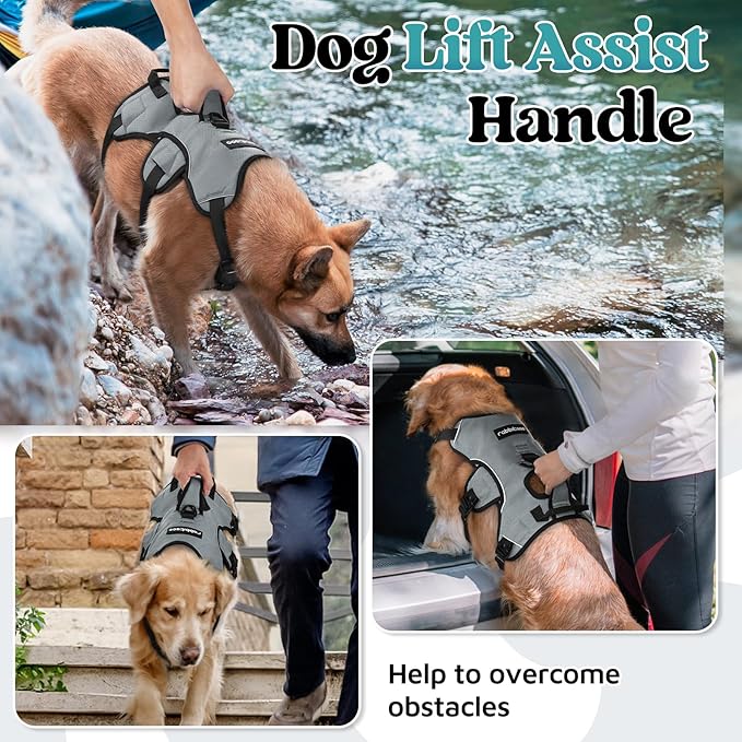 rabbitgoo Escape Proof Dog Harness, Soft Padded Full Body Pet Harness, Reflective Adjustable No Pull Vest with Lift Handle and Leash Clip for Large Dogs Walking Hiking Training, M, Grey