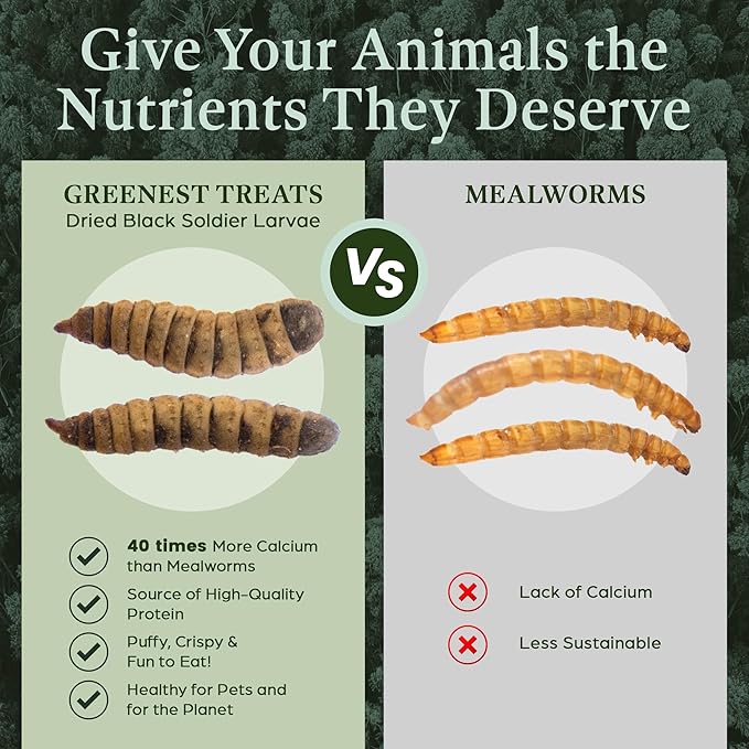 Dried Black Soldier Fly Larvae for Chicken - Treats for Hens, Duck, Wild Birds, Lizard, Tortoise, Fish - All Natural High Protein Dried Mealworms Alternative - Made in North America