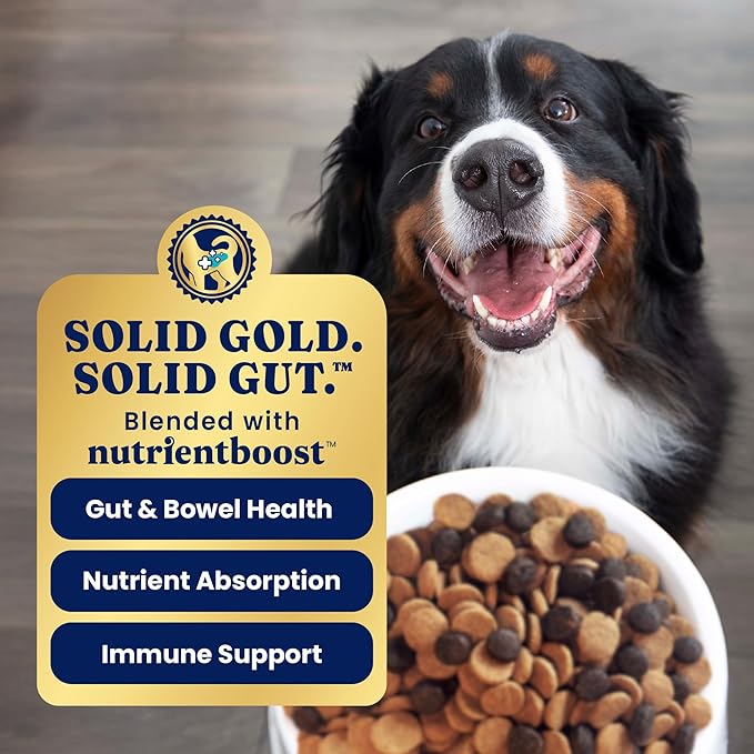 Solid Gold High Protein Dog Food Dry Dog Kibble - Premium Beef Protein & Digestive Probiotics for Energy, Muscle, Gut & Immune Support - Healthy Grain & Gluten Free Dogfood - Nutrientboost - 3.75 LB
