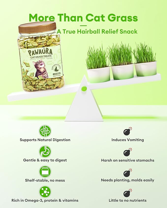 17.63oz Cat Grass Treats for Hairball Control – Natural Chicken & Cat Grass & Catnip Biscuits, Low-Calorie Healthy Snacks for Indoor Cats, Digestive & Dental Care