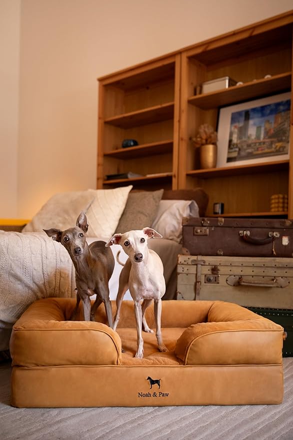 NOAH & PAW Large Dog Bed, 35x25x11 Inch, Orthopedic Dog Beds, Eggshell Memory Foam Infused with Cooling Gel, Inner Cover, Waterproof, Machine Washable (Faux Leather Sofa Collection)